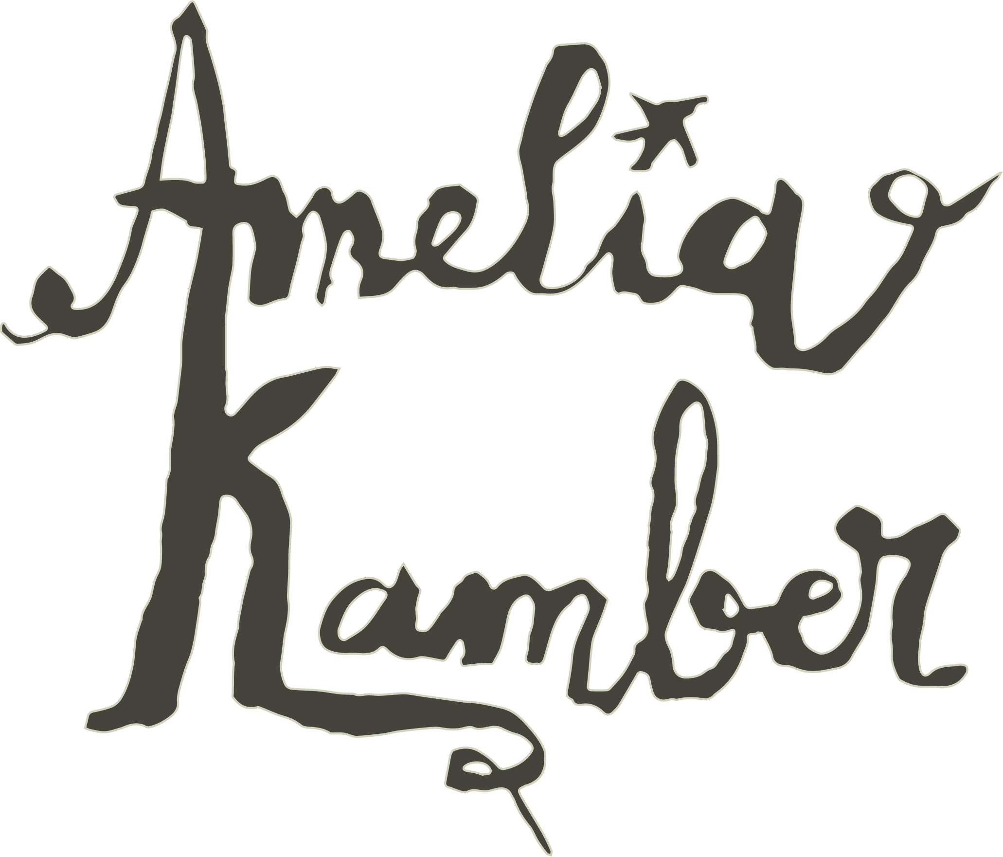 ameliakamber.ch